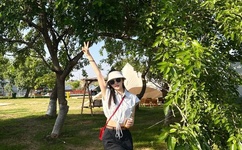 国产色情短视频在线网站